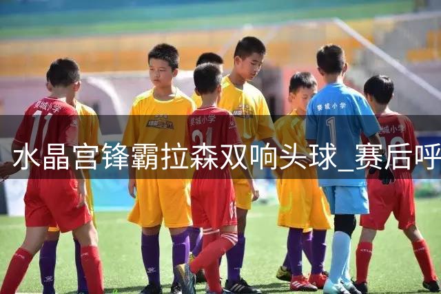 水晶宫锋霸拉森双响头球 赛后呼吁多送精准传中